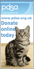 pdsa