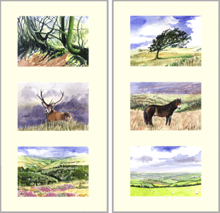 Twin paintings, three images in each, each image is 9cm x 6.5cm, watercolour