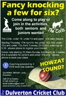 Dulverton Cricket Poster