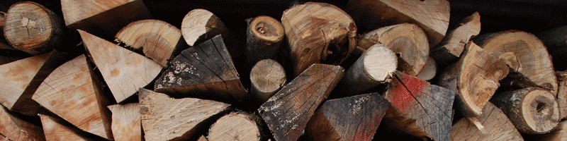 logs