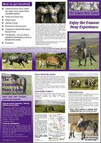 Exmoor Pony Centre Leaflet