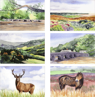 Exmoor Scenes