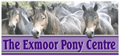 Exmoor Pony Centre