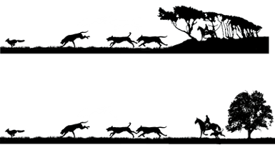 Hounds silhouette