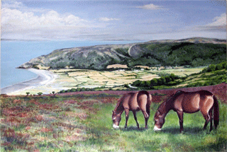 Ponies at Whitstones, Oil