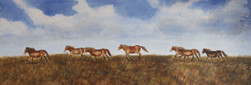 Exmoor Ponies on the Horizon