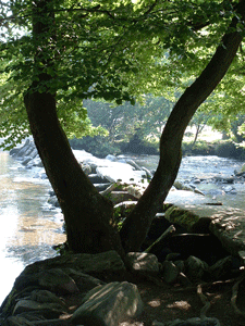 Tarr Steps