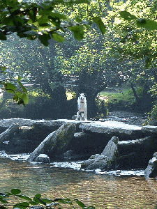 Tarr Steps with dog
