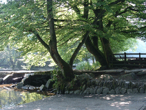 Tarr Steps