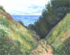 After Monet, Chemin De La Cavee