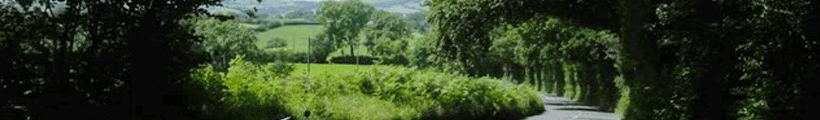 headerphoto