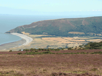 Whitstones