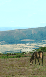 Valley Lodge