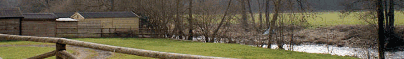 headerphoto