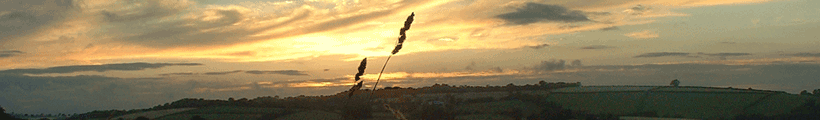 headerphoto